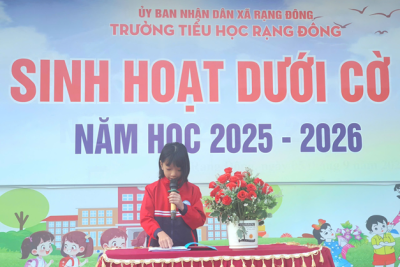 TUẦN HỌC VUI CÙNG NHỮNG HOẠT ĐỘNG TRẢI NGHIỆM THÚ VỊ _ Tiểu học Rạng Đông
